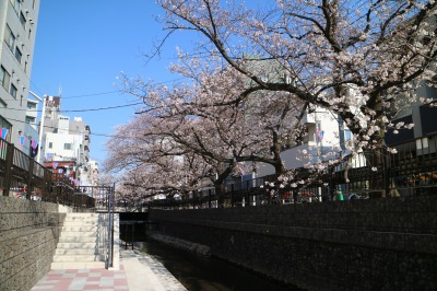 会場となる親水広場