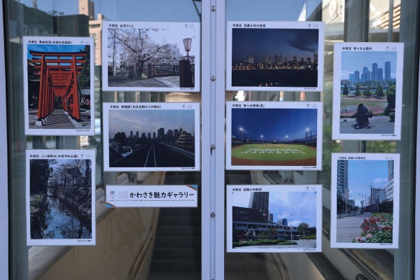 武蔵小杉駅東口駅前広場の「かわさき魅力ギャラリー」写真掲示