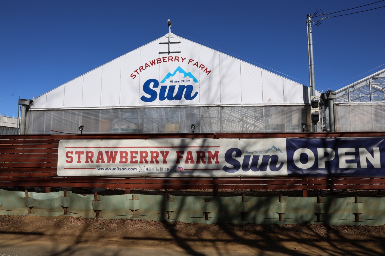 Strawberry Farm Sun