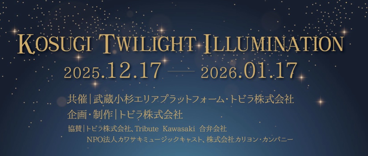 コスギトワイライトイルミネーション