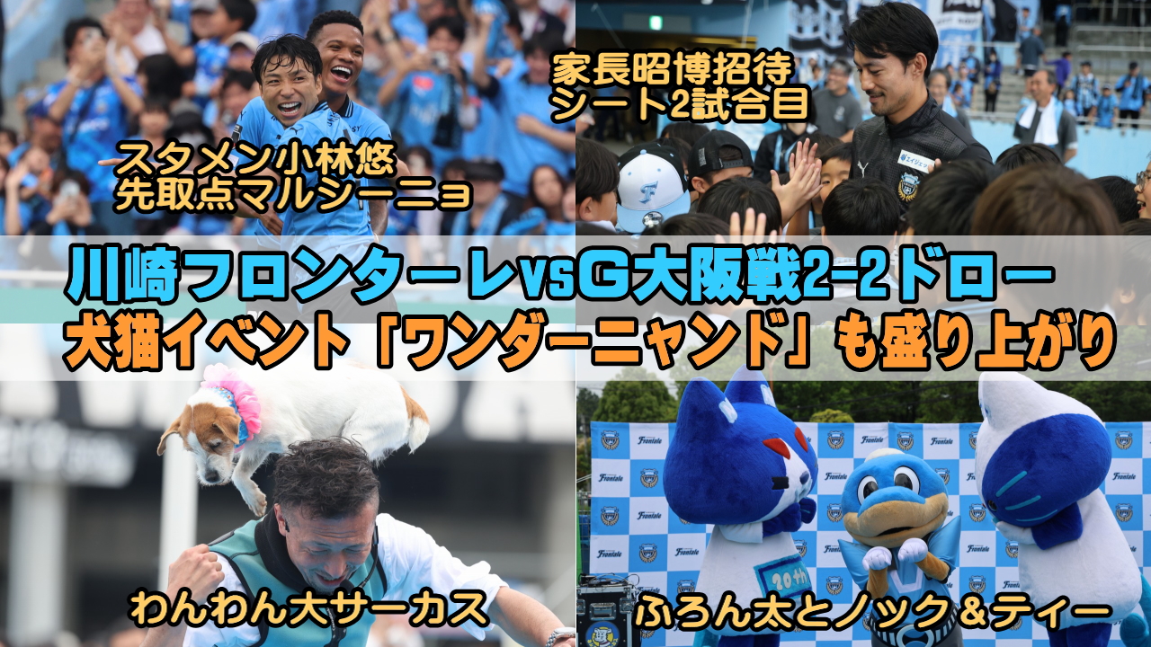 ワンダーニャンド