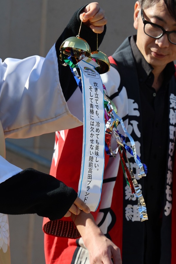 小杉様確認用 槍型スタンガン プラズマ-Xスピア 杉材 ダークブラウン仕上げ トゲ有り