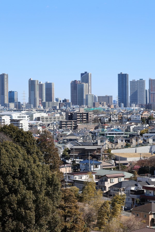 農地越しに見えた武蔵小杉の高層ビル群遠景