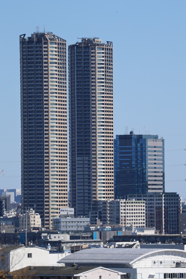 農地越しに見えた武蔵小杉の高層ビル群遠景