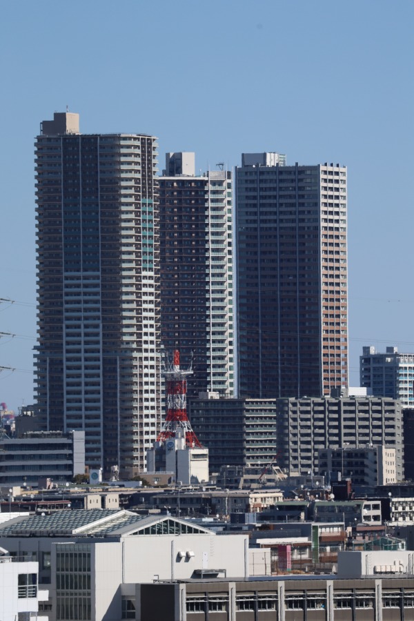 農地越しに見えた武蔵小杉の高層ビル群遠景