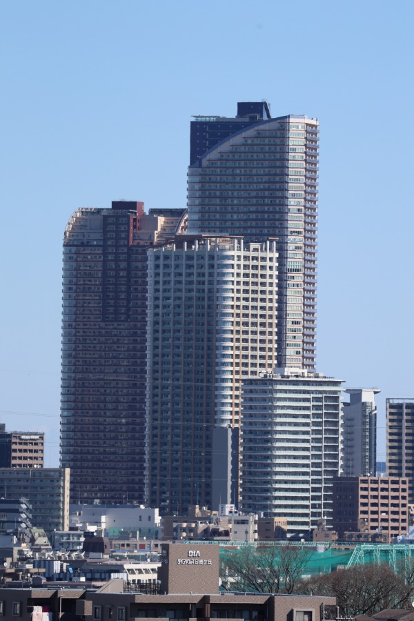 農地越しに見えた武蔵小杉の高層ビル群遠景