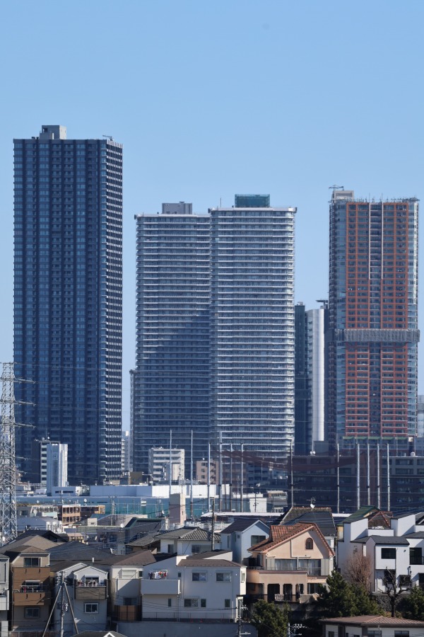 農地越しに見えた武蔵小杉の高層ビル群遠景