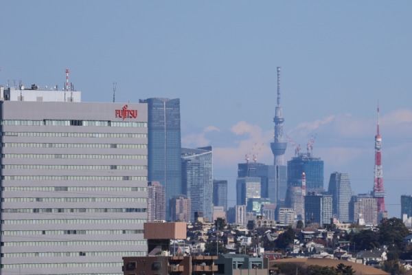 農地越しに見えた武蔵小杉の高層ビル群遠景