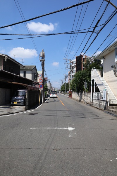 井田山の境界道路