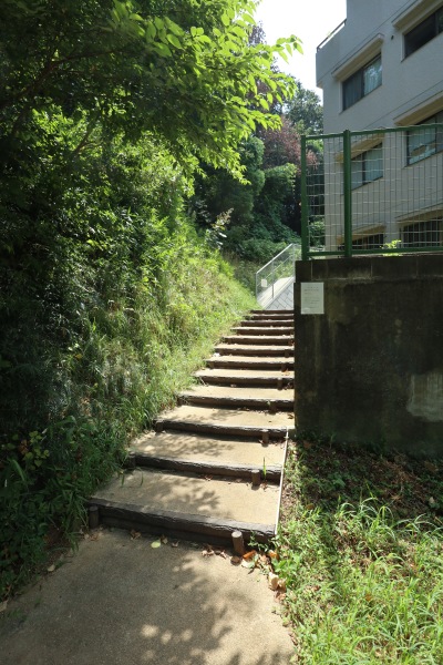 完成した斜面防護と歩道