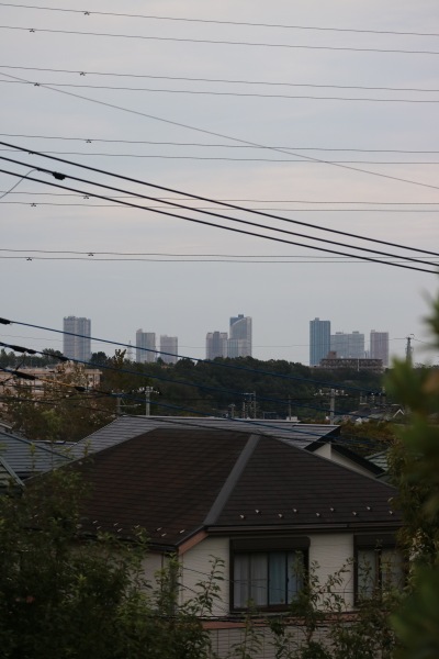 武蔵小杉の高層ビル群