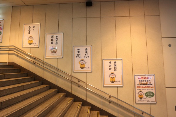 武蔵中原駅入口の階段