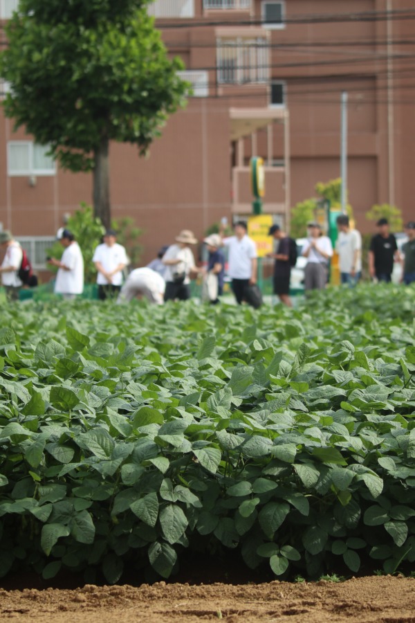 枝豆直売に並ぶ行列