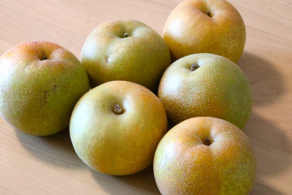 かしま園の幸水