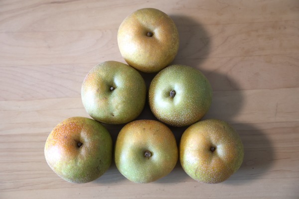 かしま園の幸水