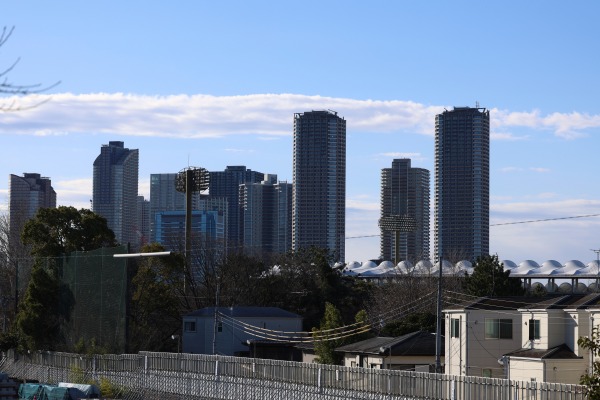 武蔵小杉の高層ビル群