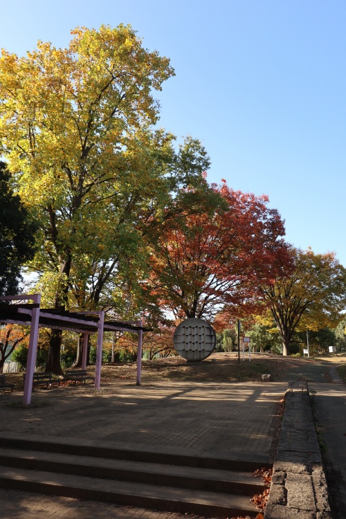 中原平和公園・彫刻展示広場の紅葉