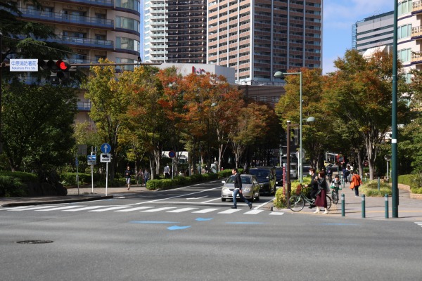 都市計画道路武蔵小杉駅南口線