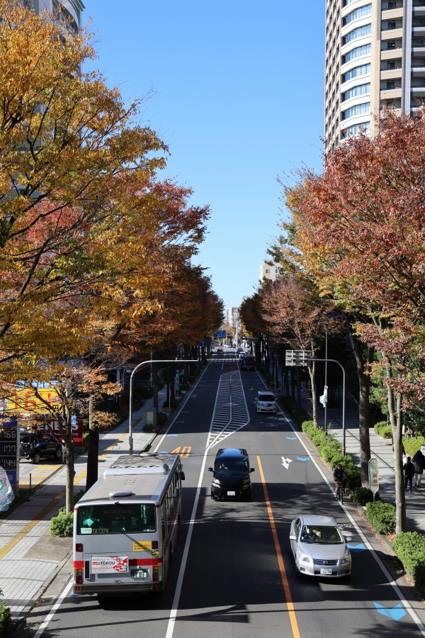 南武沿線道路の康応