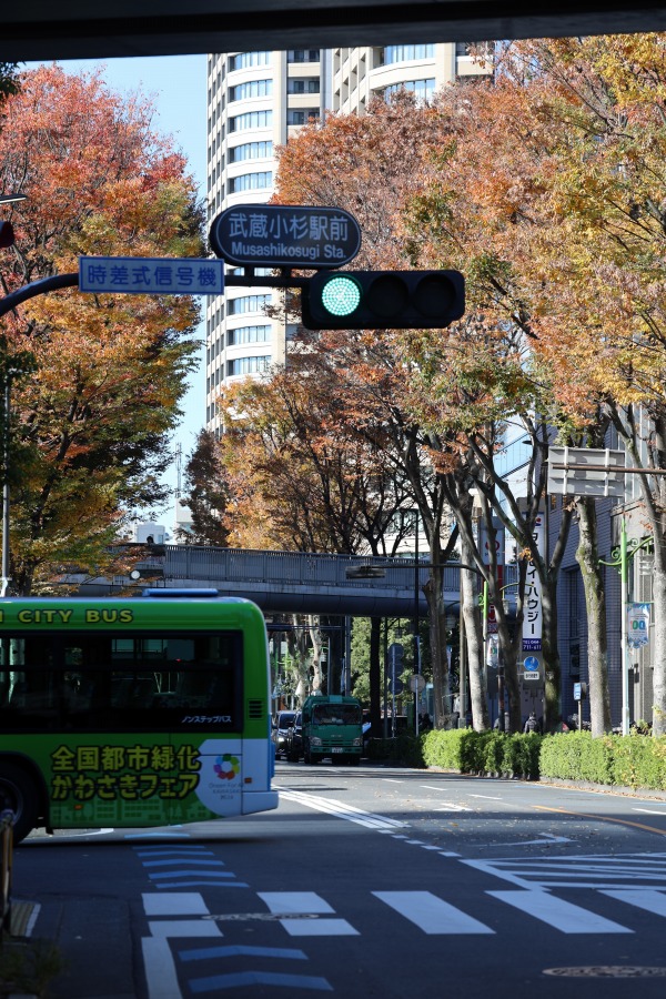 南武沿線道路の康応