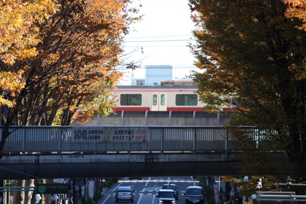 南武沿線道路の康応