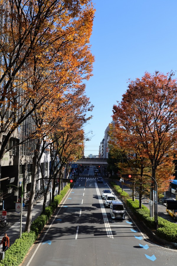 南武沿線道路の康応