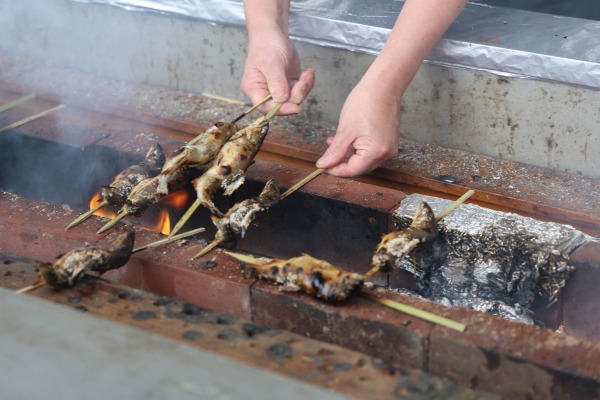 丸子の渡し祭り・多摩川で和むe体験