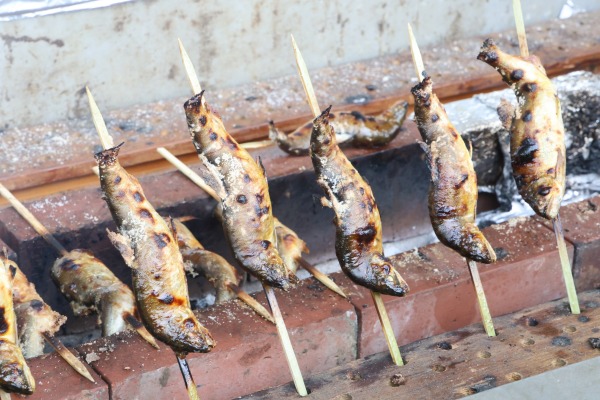 丸子の渡し祭り・多摩川で和むe体験