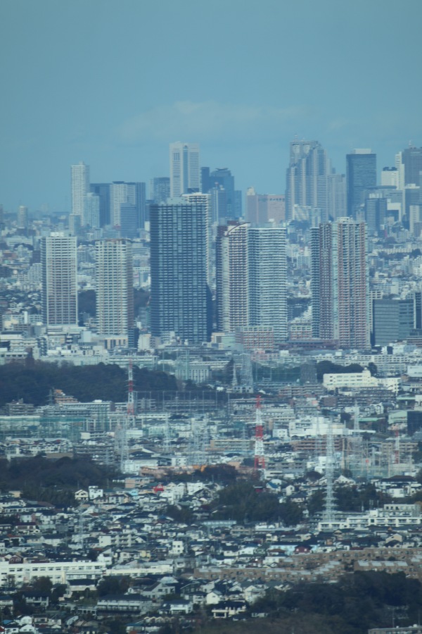 武蔵小杉の高層ビル群と東京都心の風景
