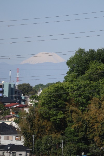 富士見台から見えた富士山