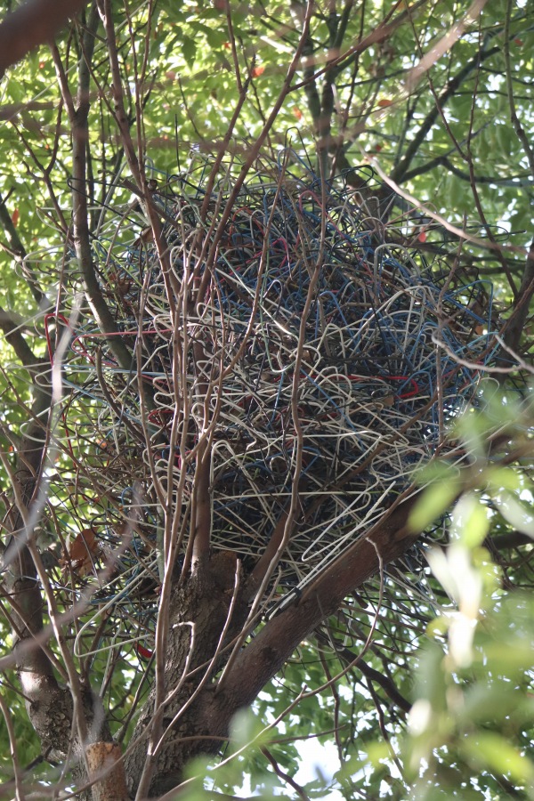 針金ハンガーで作った巣も