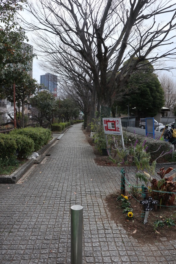 改修前の「今井上町緑道」