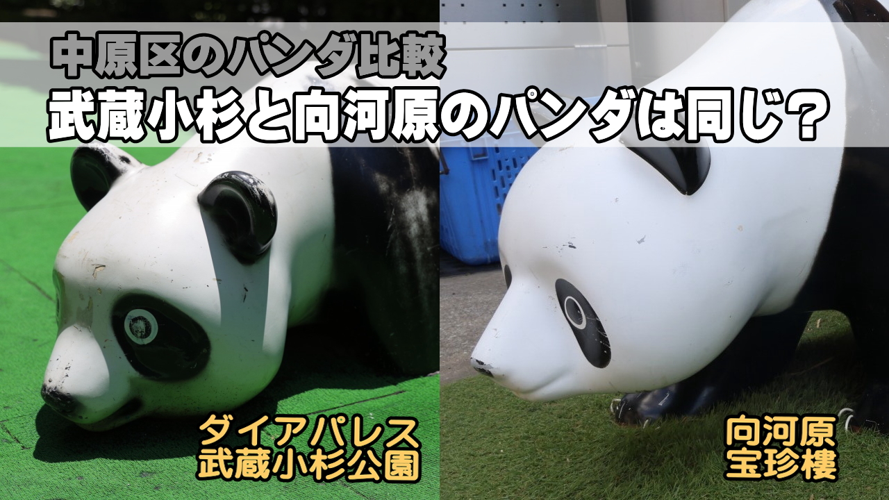 中原区のパンダ比較