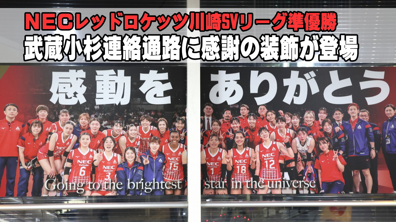 NECレッドロケッツ川崎SVリーグ準優勝