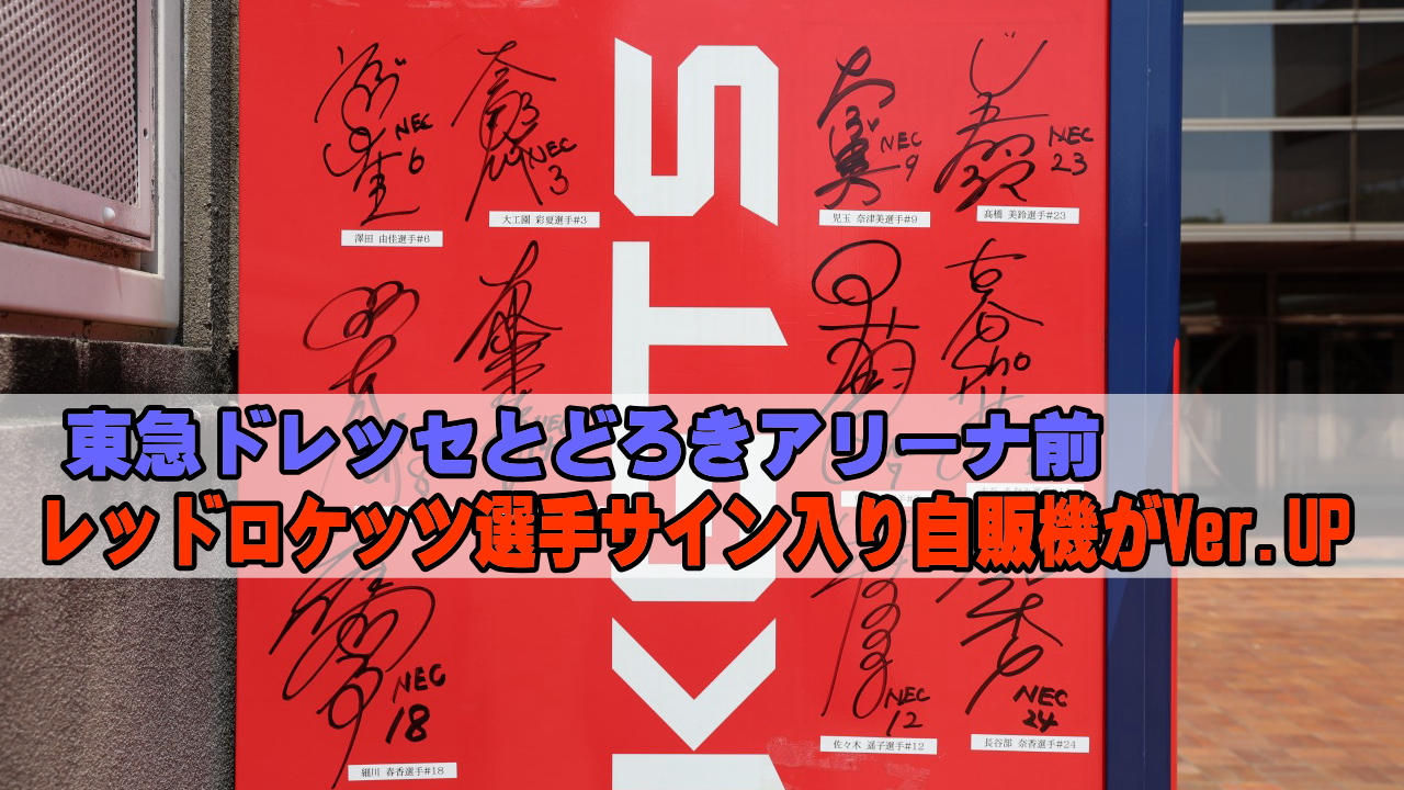 NECレッドロケッツ川崎