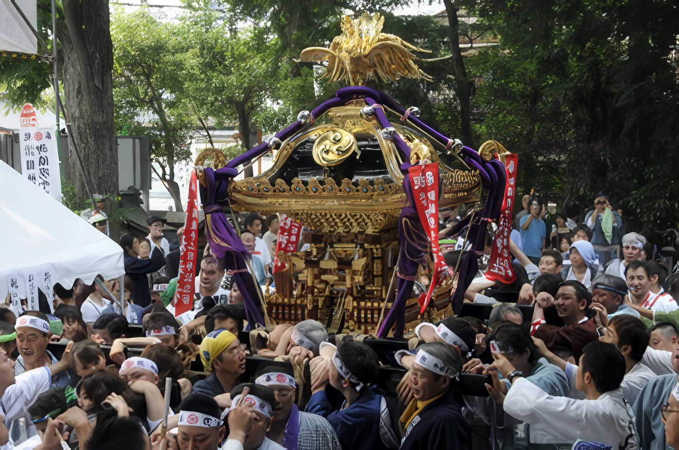 つまみぐいゼミ