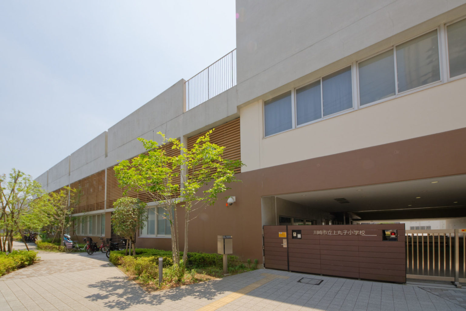 つまみぐいゼミ