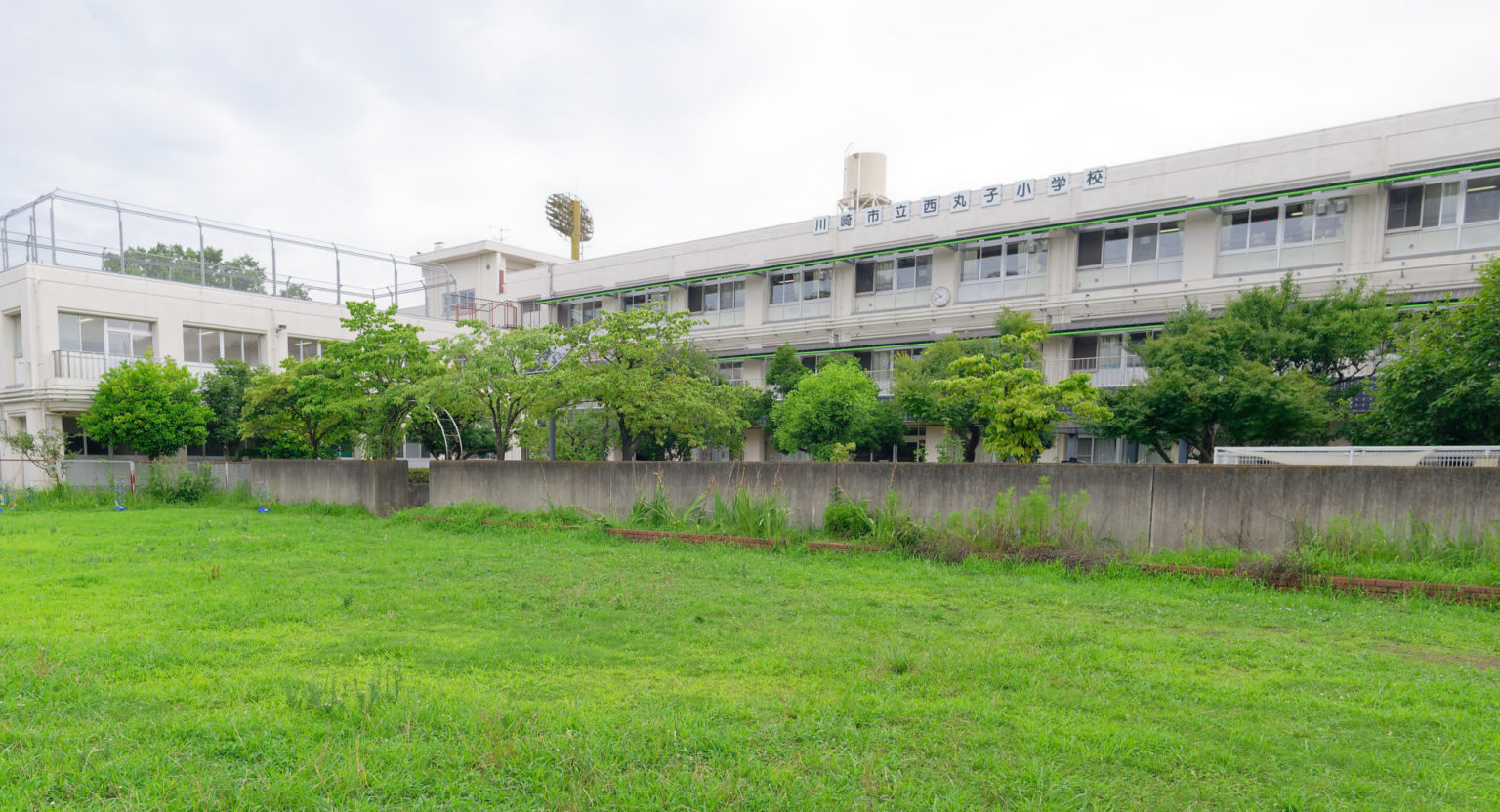 つまみぐいゼミ