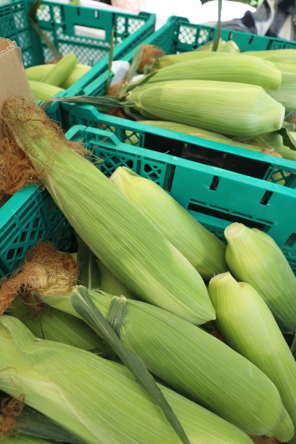 川崎市産の野菜