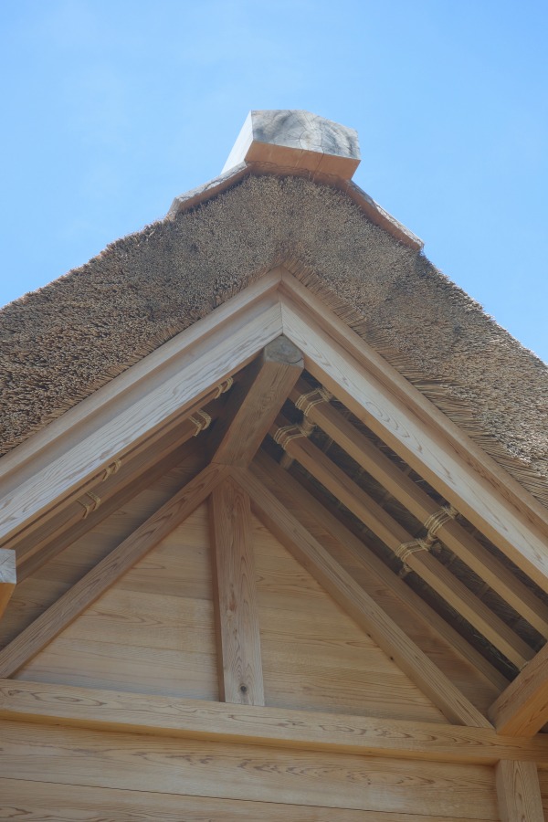 茅葺の屋根