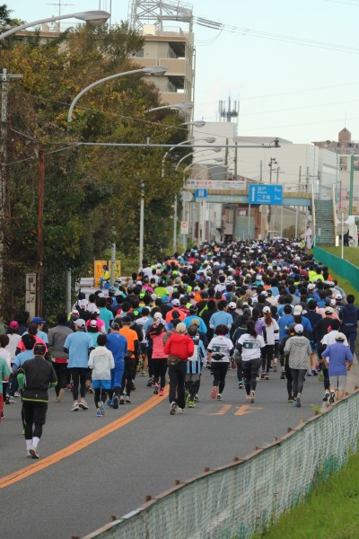 例年の「川崎国際多摩川マラソン」