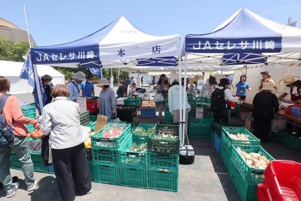 川崎市産の野菜販売