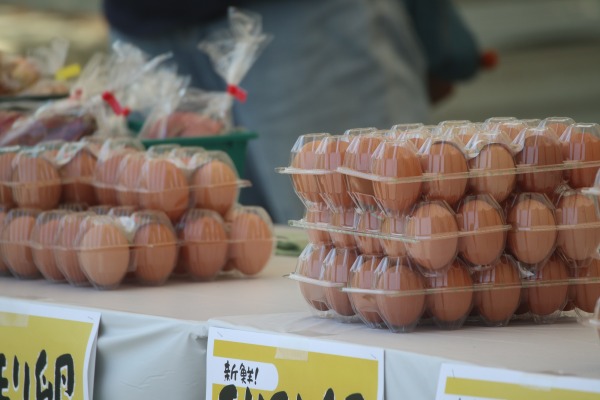 川崎市産の野菜販売