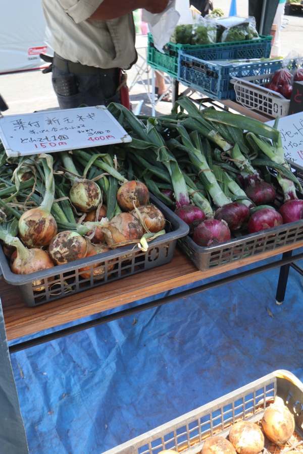 川崎市産の野菜販売