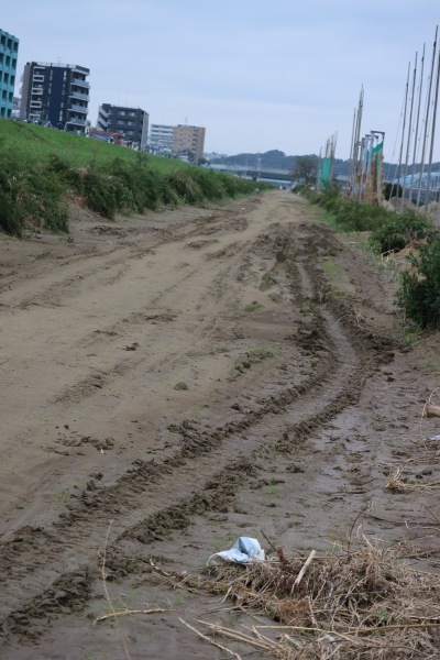 「令和元年東日本台風」直後の多摩川ランニングコース