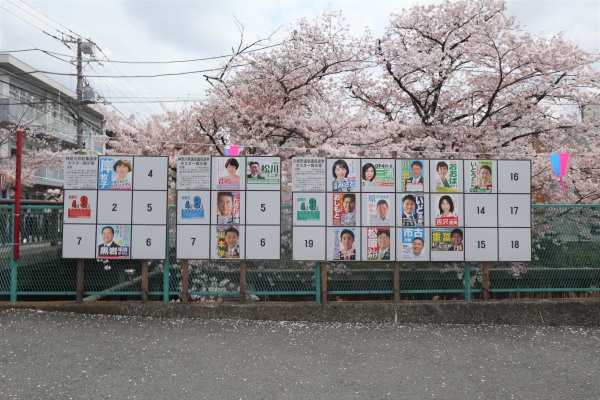 渋川沿いの選挙ポスター掲示