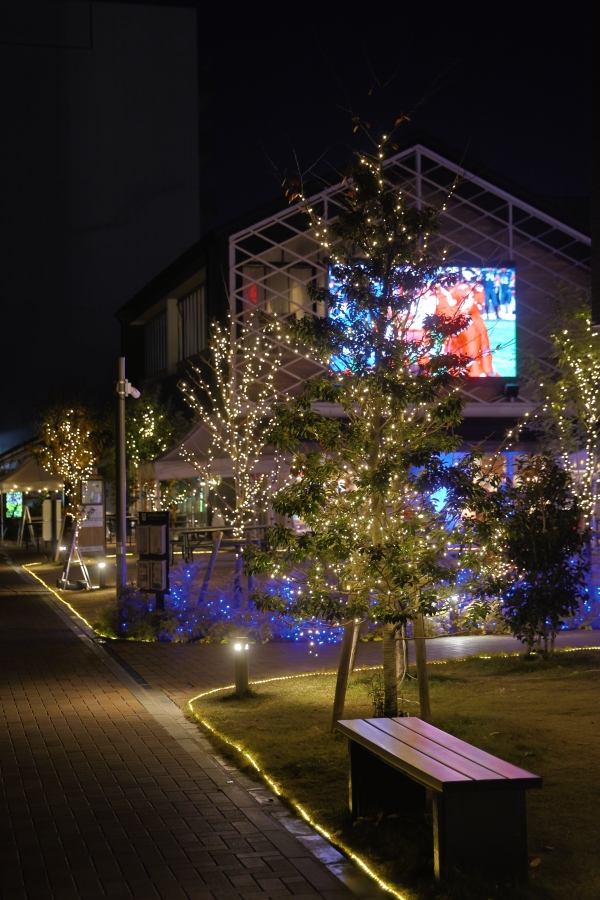 武蔵小杉・元住吉のクリスマス模様